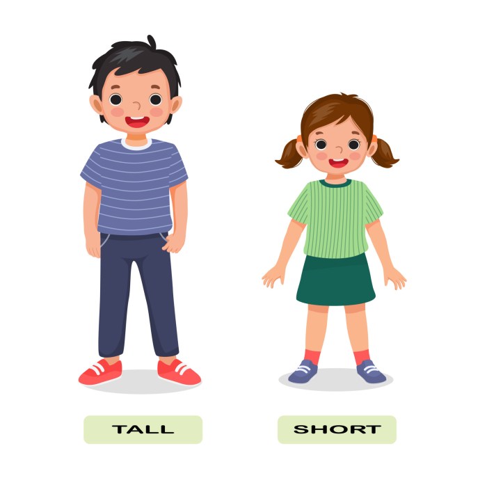 Short Term Rental Regulations Worldwide